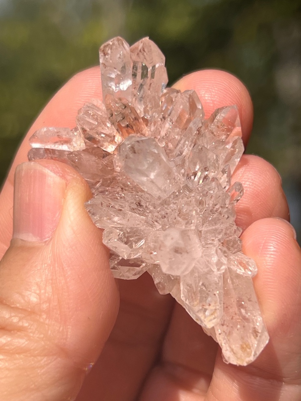 Pink (5) lemurian Quartz cluster | crystal